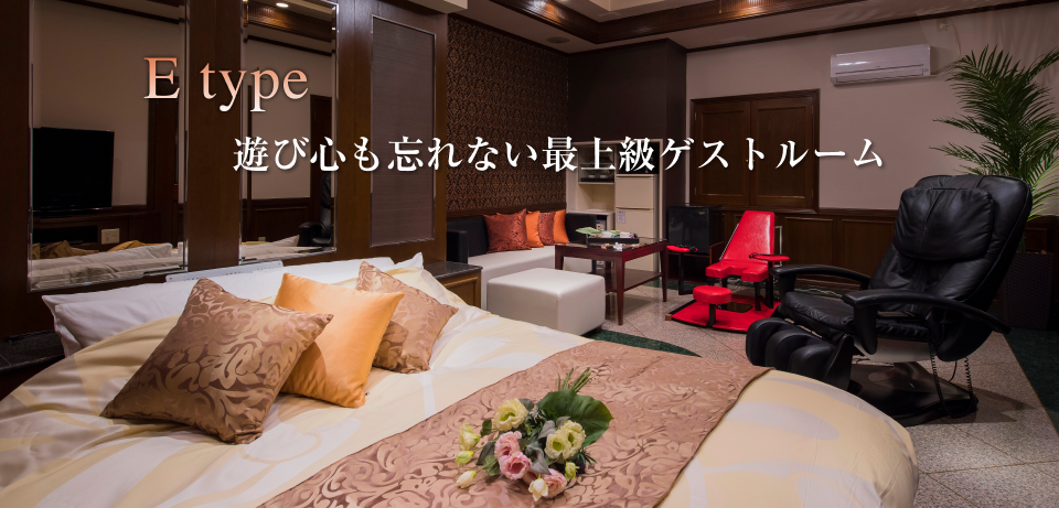 【E type】遊び心も忘れない最上級ゲストルーム