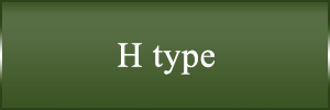 H type